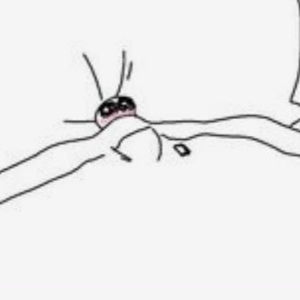 Meet your Posher, Max